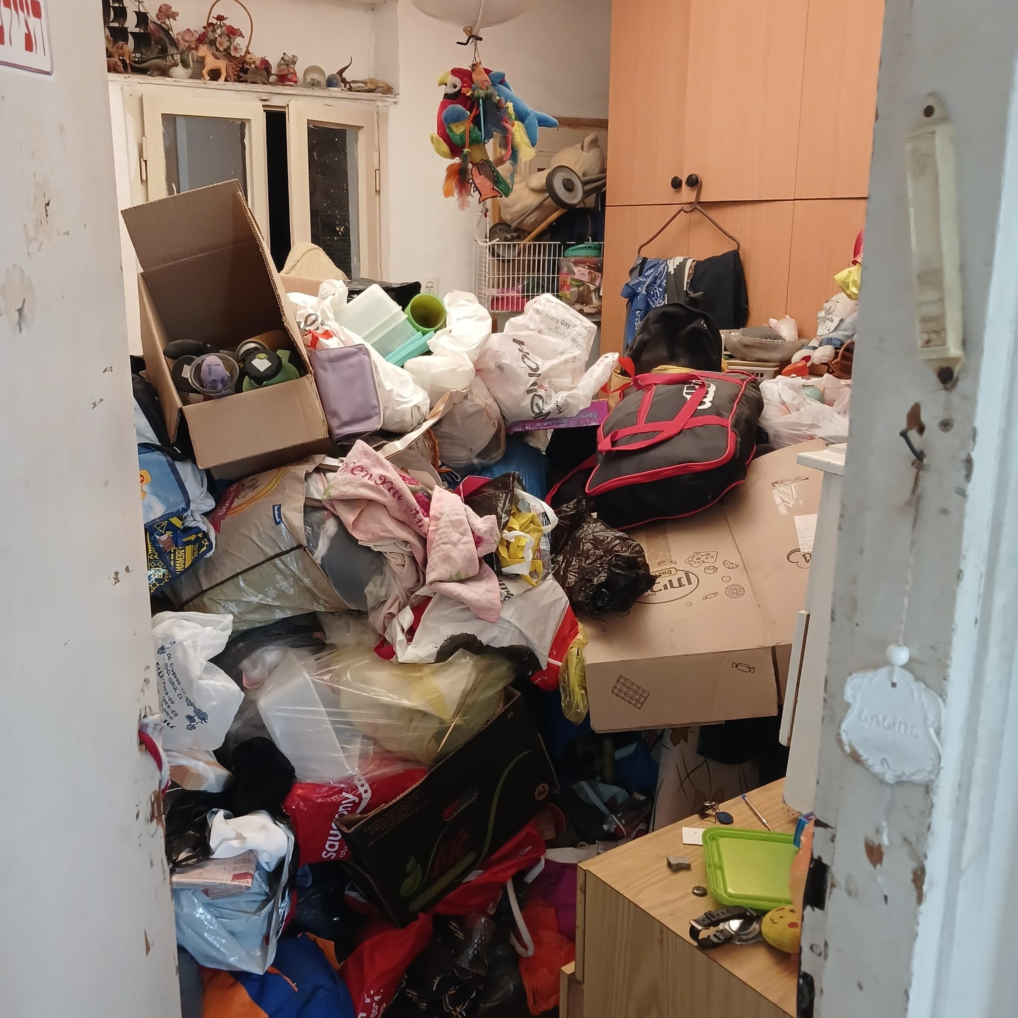 פינוי דירה של אגרן